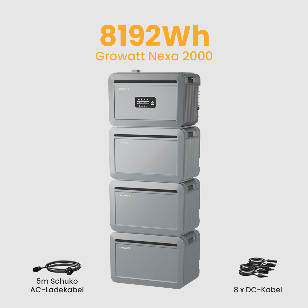 Growatt NEXA 2000 accumulo